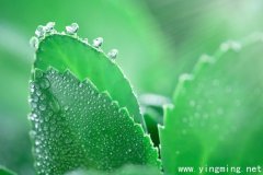 岳麓區(qū)建設(shè)網(wǎng)站制作如何搭建？